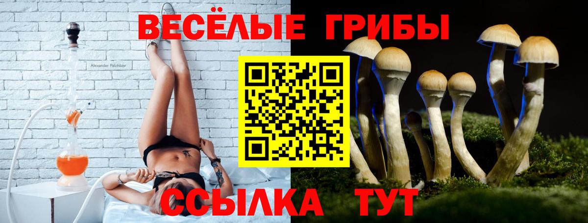 Псилоцибиновые грибы Psilocybine cubensis Глазов